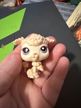 Pink poodle lps